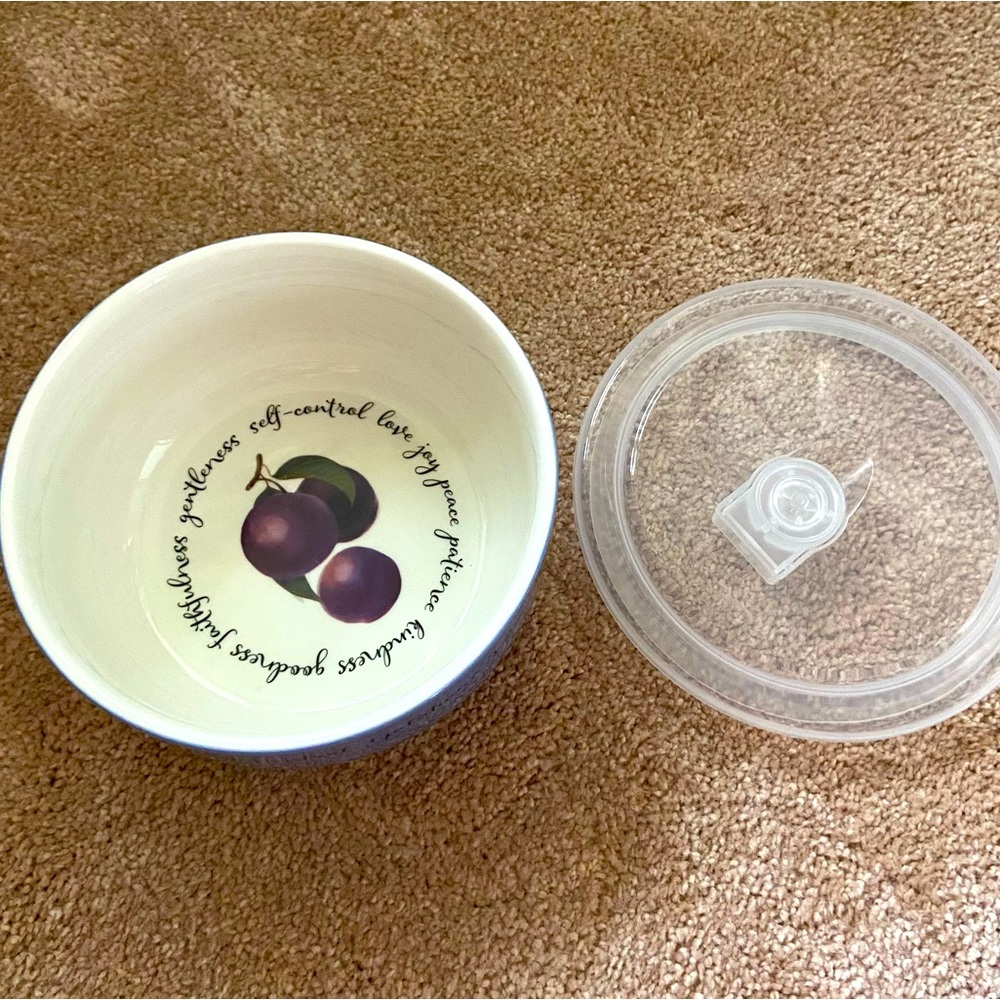 Bible Fruit of the Spirit Round Blue Microwave Pop-up Lid Container 30 oz